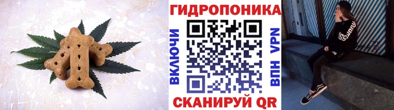 где можно купить наркотик  блэк спрут   Cannafood конопля  Кукмор 