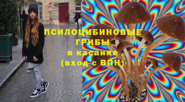 мяу мяу кристалл Билибино